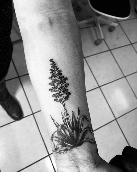 Jt tattoo oaxaca on Instagram: “✴️Agave✴️ . . @eztattooing @soulflower_tattoo_supply @inkjectapro @hustlebutterdeluxe @silverbackink . . #tattoo #tatuajes #tattoos…” Yucca Plant Tattoo New Mexico, Cactus Flowers Tattoo, Yucca Tattoo, Oaxaca Tattoo, Jt Tattoo, Agave Tattoo, Bloom Tattoo, Sick Tattoos, Tattoos Inspo