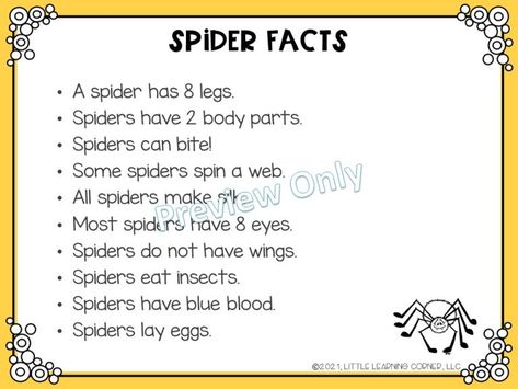 Spider Facts For Kids, Spider Facts, Spider Fact, Airport Aesthetic, Australian Wildlife, Facts For Kids, Homeschool Ideas, Fact Sheet, School Project