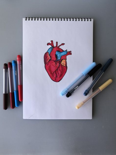 Drawing of a heart with Ikea felt tip pens. Felt Pen Drawings Ideas, Felt Tip Pen Art Drawings, Felt Pen Art, Felt Tip Pen Art, Drawing Of A Heart, Felt Tip Pens, Pen Art Drawings, Heart Drawing, Anatomical Heart