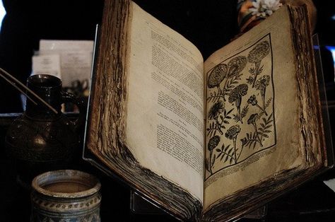 Old nature/spell book Anders Dragon Age, Indrid Cold, Dr Facilier, Roi Arthur, Yennefer Of Vengerberg, Montage Photo, Witch Aesthetic, Uncharted, Open Book