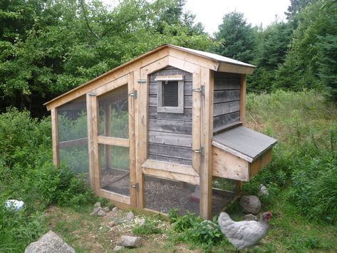 Backyard Ideas With Pallets, Pallet Chicken Coop Plans, Backyard Chicken Coop Diy, Pallet Chicken Coop, Small Chicken Coop, Ideas With Pallets, Chicken Coop Blueprints, Chicken Coop Pallets, Small Chicken Coops