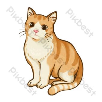 Orange Cat Illustration, Orange Cat Drawing, Drawing Orange, Cat Cartoons, Cat References, Orange And White Cat, Png Images Free, Cat Art Illustration, Cat Reference