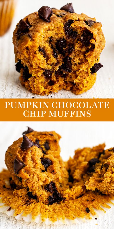 Easy Pumpkin Chocolate Chip Muffins, Pumpkin Muffins Easy, Pumpkin Breakfast, Pumpkin Chocolate Chip Muffins, Pumpkin Chocolate Chip, Pumpkin Chocolate Chips, Breakfast Idea, Pumpkin Muffins, Chocolate Chip Muffins