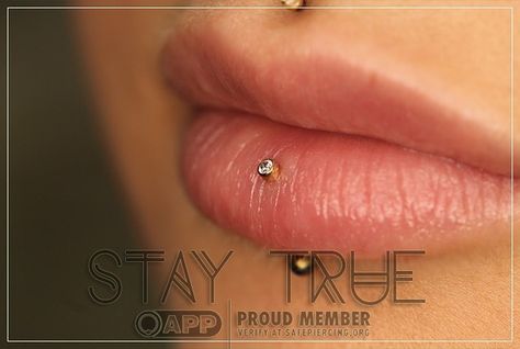 Dainty Labret Piercing, Labret Piercing Stud, Central Labret Piercing, Vertical Labret Piercing Aesthetic, Central Labret, Gold Labret Piercing, Verticle Labret Piercing, Middle Lip Piercing, Vertical Labret