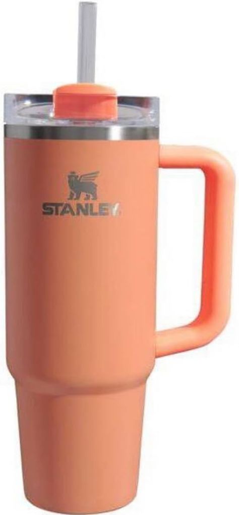 The Stanley Cup is the ultimate addition for on-the-go or at home. Made from high-quality stainless steel, this cup not only offers a sturdy construction but also excellent insulation to keep drinks cool or warm for hours. Rainbow Palette, 30 Oz Tumbler, Nectarine, Reusable Straw, Ergonomic Handle, Tumblers With Lids, Insulated Tumblers, Color Orange, Stainless Steel Tumblers