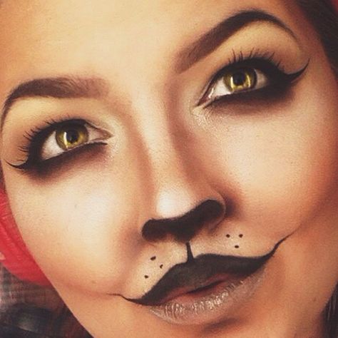 Childless Cat Lady Costume, Orange Cat Makeup, Cat Makeup Halloween Pretty, Cat Costume Makeup, Black Cat Makeup, Cat Face Makeup, Charly Brown, Halloween Makeup Hacks, Animal Makeup