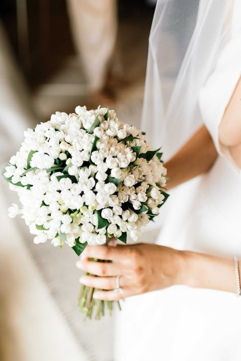 Small Bride Bouquets White, Elegant All White Bridal Bouquet, Bride Flower Bouquet Simple Wedding Ideas, Bride’s Bouquet, Bride Flower Bouquet Simple, Bridal Bouquet Ideas White, Brides Flower Bouquet, Bride Flowers Bouquet, Bridal Flowers Bouquet