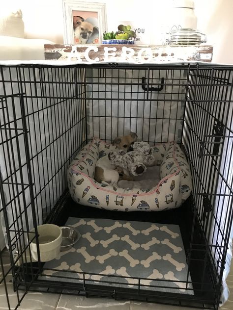 Dog crate ideas- She loves her new corner!!!😍 Cages For Dogs, Pet Cage Ideas Dogs, How To Make A Dog Cage Cute, Cute Dog Cage Ideas, Dog Set Up In Bedroom, Puppy Corner Ideas In Bedroom, Crate Ideas For Dogs, Puppy Cage Ideas, Dog Crate Setup