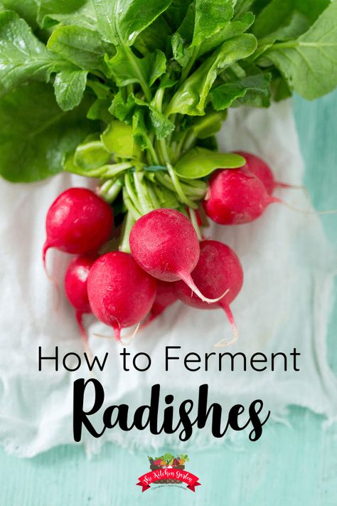 Fermented Radishes Recipe, Fermented Recipes, Fermenting Foods, Growing Radishes, Cultured Food, Fermented Veggies, Vegetables Photography, Canning Vegetables, Radish Recipes