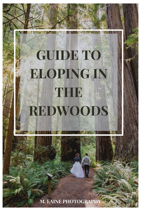 Red Woods Elopement, Wedding In The Redwoods, Red Wood Wedding, Red Woods Wedding, Redwood National Park Elopement, Redwood National Park Wedding, Redwood Wedding California, Wedding Redwoods, Redwood Elopement