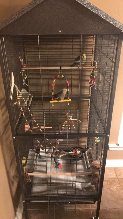 Cockatiel Cage Ideas, Cockatiel Cage Setup Ideas, Cockatiel Cage Setup, Cockatiel Aviary, Macaw Cage, Homemade Bird Toys, Budgie Cage, Cockatiel Toys, Cockatiel Cage