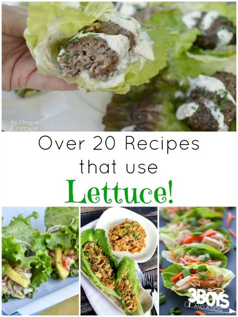 Easy Lettuce Wraps, Lettuce Recipes, Low Carb Burger, Lettuce Wrap Recipes, Lettuce Wrap, Vegetable Seasoning, Lettuce Wraps, Wrap Recipes, Recipe Using