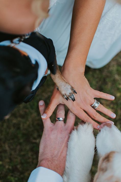 How to incorporate Dogs in your wedding photos. Dog Family wedding Photos, Paw and Hands wedding photos, Dog In Wedding, Dog Wedding Photos, Family Wedding Photos, Photos With Dog, Dog Family, Wedding Picture Poses, Wedding Pets, Wedding Photos Poses, Dog Wedding