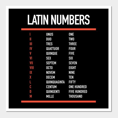 Latin Notes, Ancestors Tattoo, Latin Numbers, Latin Language Learning, Linguistics Study, Latin Grammar, Latin Art, Ancient Alphabets, What To Study