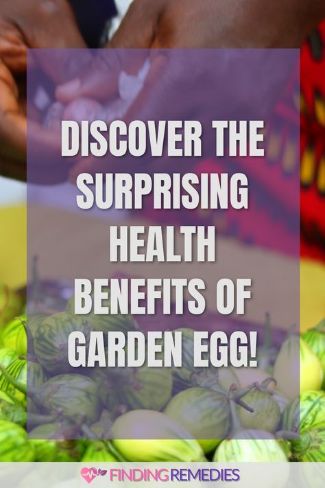 Discover the Surprising Health Benefits of Garden Egg! Egg Health Benefits, Vegetables And Their Benefits, Eating Eggs Everyday Benefits, Egg Fruit, Health Benefits Of Eggs, Water Importance Health Benefits Of, Prebiotic Foods, Egg Benefits, Beauty Diet