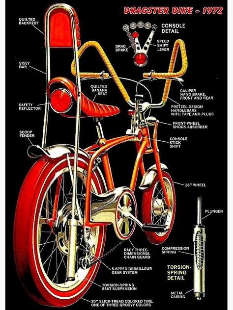 Banana Seat Bike, Lowrider Bike, Velo Vintage, Chopper Bike, I Want To Ride My Bicycle, Custom Bicycle, Beautiful Bike, Pedal Power, Popular Mechanics