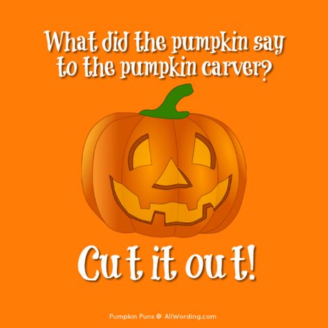 What did the pumpkin say to the pumpkin carver? Cut it out! Hi Pumpkin, Pumpkin Sayings, Pumpkin Jokes, Pumpkin Puns, Funny Halloween Jokes, Pumpkin Quotes, Funny Pumpkin Carvings, Pun Quotes, Funny Corny Jokes