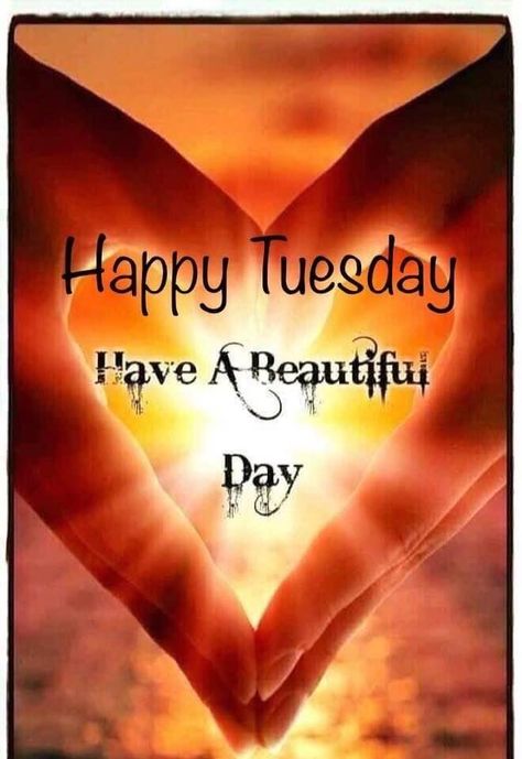 Happy Tuesday Morning Funny, Happy Tuesday Quotes Funny, Tuesday Quotes Funny, Happy Tuesday Images, Happy Tuesday Morning, Memory Quotes, Tuesday Images, Morning Tuesday, In Loving Memory Quotes