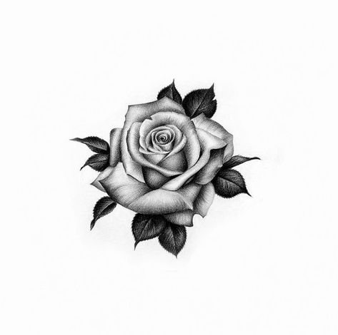 Rose Tattoo Men Back, Rose Tattoo For Guys, Rose Tattoo Men Design, Mens Rose Tattoo, Flower Tattoo For Men, Rose Tattoo For Men, Fijian Tattoo, Rose Tattoo Men, Black And Grey Rose Tattoo