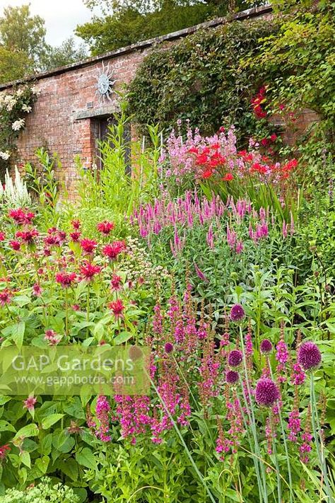 The west facing border in the Walled Garden at Holehird Gardens, Windermere, Cumbria. Noted for its herbaceous perennials and here the white spikes of Veronica longifolia 'Charlotte' can be seen combining with Monarda, Sidalcea, Lythrum, Crocismia and Allium sphaerocephalon. Veronica Longifolia, White Spikes, Allium Sphaerocephalon, Planting Combinations, Indian Garden, West Facing Garden, Country Gardens, Walled Garden, English Country Gardens