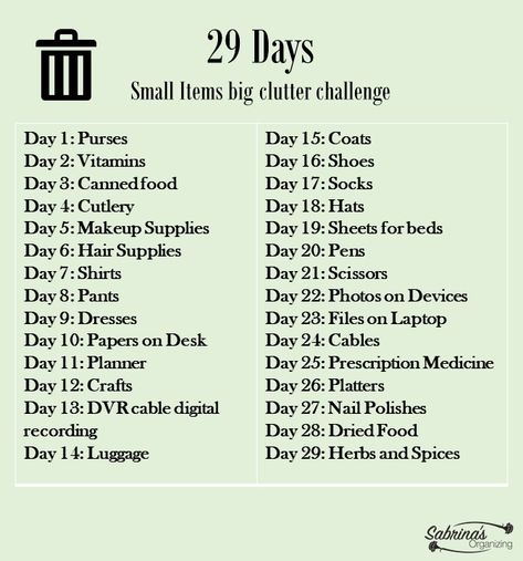 29 Days Small Items Big Clutter Challenge | Sabrinas Organizing Clutter Challenge, Pretty Organization Ideas, Blog Organization, 29 Days, Declutter Challenge, Organizing Challenges, Days Challenge, Hair Supplies, Messy Room