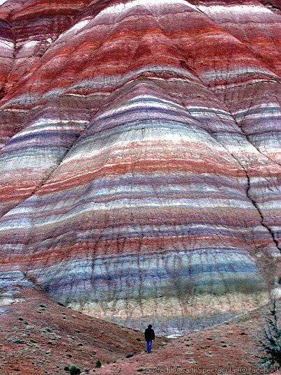 Nature Details, Kanab Utah, Page Arizona, River Canyon, Details Photography, Utah Travel, Utah Usa, Stay Inspired, Zion National Park