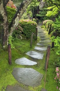 40+ Brilliant ideas for stone pathways in your garden Garden Walkway, Stone Pathway, Stone Path, Have Inspiration, The Secret Garden, Garden Pathway, Green Forest, Green Garden, Zen Garden