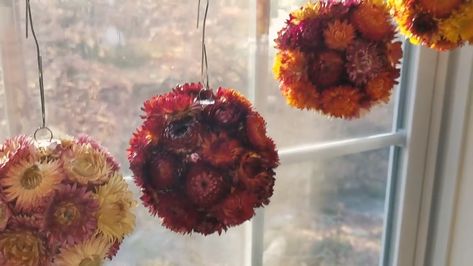 Pots With Dried Flowers, Strawflower Crafts, Dried Flowers Crafts, Paper Daisy, Fine Gardening, Floral Craft, Flower Ball, Flower Ornaments, Diy Decor Crafts