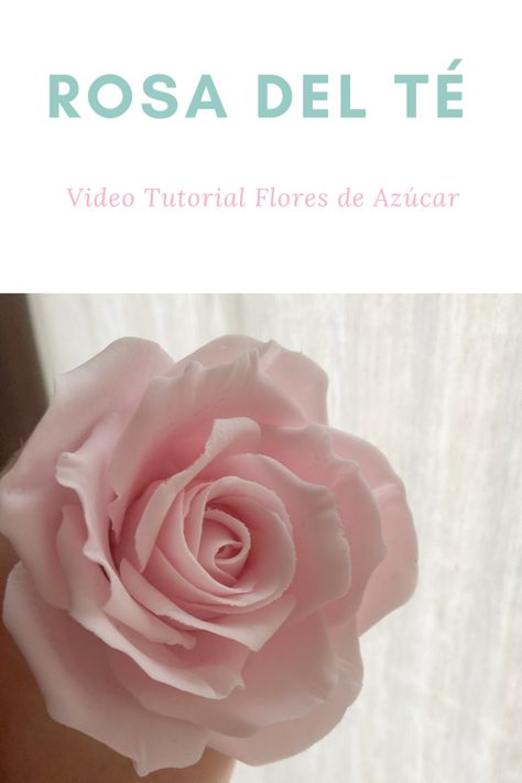 Fondant Rose Tutorial, Gum Paste Flowers Tutorials, Fondant Techniques, Cake Decorating Flowers, Sugar Flowers Tutorial, Icing Techniques, Wafer Paper Flowers, Fondant Rose, Rose Tutorial