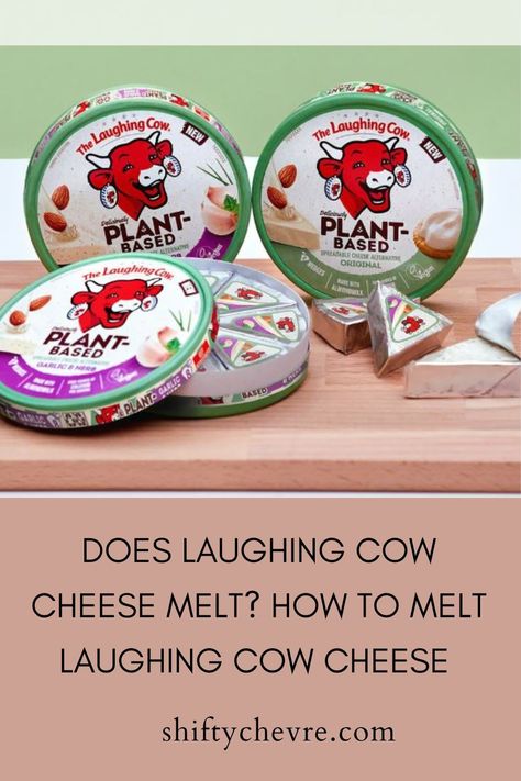 Cheeses are an important ingredient in a recipe. There are instances where their melting ability matters. You may want to top your pizza with laughing cow cheese or use it for mac and cheese sauce, but you need to figure out how easy it can melt. So, does laughing cow cheese melt?  Some laughing cow cheese can melt while others cannot. Laughing Cow Cheese Sauce, Laughing Cow Recipes, Laughing Cow Cheese Recipes, Laughing Cow Cheese, Mac And Cheese Sauce, Cheese Melt, Cheese Alternative, White Sauce Recipes, Spreadable Cheese