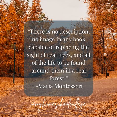 Just learning about things without being able to experience them is like dipping your toe in the water and calling it swimming.   #homeschooling #homeschoolquotes #quotes #learning #handsonlearning #Montessori Fall Homeschool, Quotes Learning, Homeschool Quotes, Maria Montessori, Hands On Learning, Any Book, Montessori, Swimming, Water