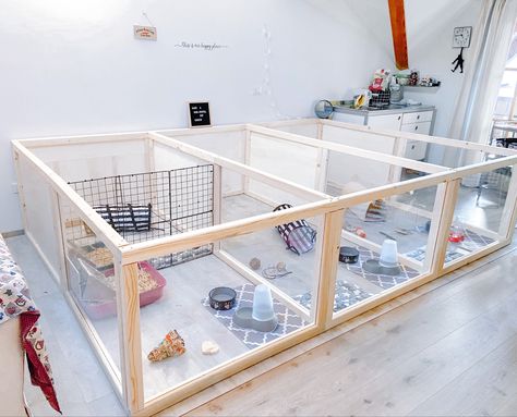 Rabbits rabbit-enclosure enclosure diyenclosure diy Gingersworld rabbit rabbitenclosure Diy Rabbit Incloser, Walk In Rabbit Enclosure, Diy Bunny Cage Indoor, Diy Bunny Cage, Diy Rabbit Cage, Rabbit Playpen, Rabbit Pen, Rabbit Enclosure, Bunny Room