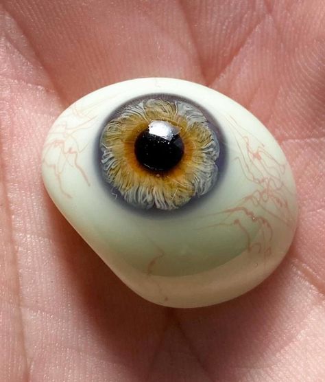 Prosthetic eyes in jewelry on Instagram: “Take a moment and check out this beauty! . . . #glasseye #blownglass #blownglassart #odditiesandcuriosities #oddlysatisfying #eyering…” Heterochromia Eyes, Blown Glass Art, Art Gallery Wallpaper, Eye Ring, Glass Eyes, Glass Blowing, Take A, Art Gallery, Gemstone Rings