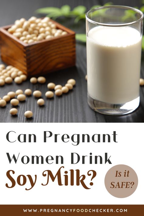 Is Soy Milk Good During Pregnancy? Soy Milk Recipes, Soya Milk, Non Dairy Milk, Hair Milk, Non-dairy Milk, Pregnancy Food, Nut Milk, Milk Recipes, Soy Milk