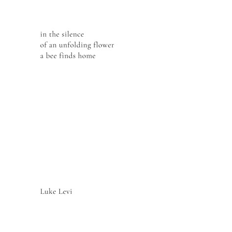 a haiku poem, found in my recent book: Windswept Leaves 
 #poetry #poems Haiku For Friends, Haiku Poems Deep, Storytelling Tips, Haiku Poem, Poems Deep, Haiku Poetry, Petal Art, Haiku Poems, Friend Poems