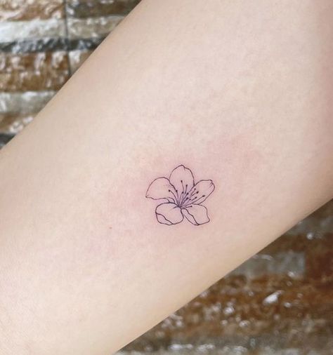 One Cherry Blossom Tattoo, Cherry Blossom Tiny Tattoo, Small Japanese Cherry Blossom Tattoo, Sakura Bloom Tattoo, Blue Ink Flower Tattoo, Minimalistic Cherry Blossom Tattoo, Blossom Cherry Tattoo, Matching Cherry Blossom Tattoos, Mini Cherry Blossom Tattoo