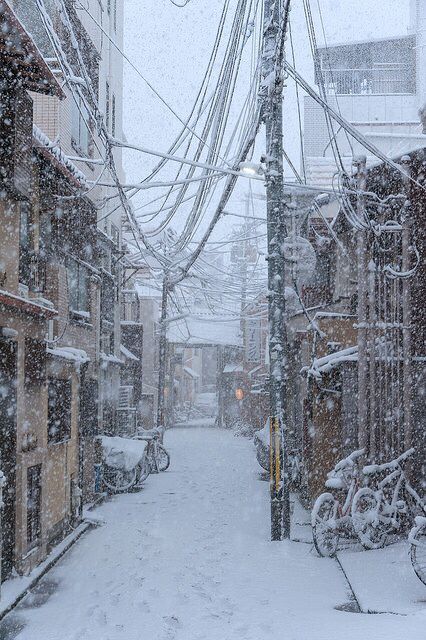 . Snowy Street, Winter In Japan, Japan Winter, Studio Ghibli Background, Snowy Forest, Japan Aesthetic, Aesthetic Japan, Winter Scenery, Outside World