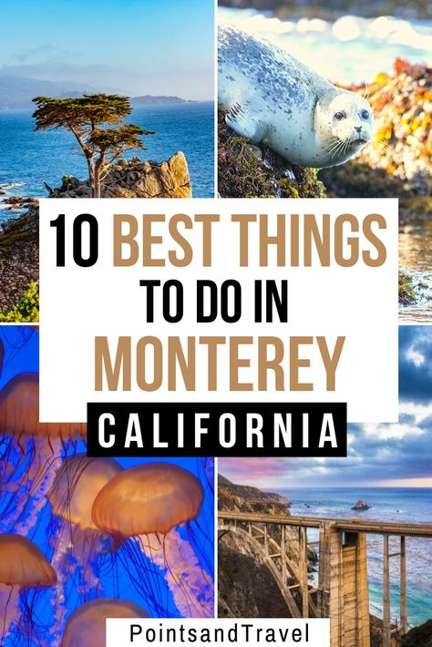 Here are the 10 Best Things to Do in Monterey, California. With its scenic cliffs, sand dunes, wine tasting, and a famous aquarium, there are so nay things to do during a weekend in Monterey | What to do in Monterey | Monterey Itinerary | Weekend in Monterey California | Monterey travel guide | #monterey #california California Monterey, Monterey Beach, Carmel Beach, Monterey Peninsula, California Trip, California Destinations, Monterey California, Visit Usa, Monterey Ca