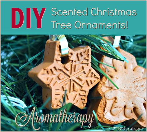 Scented Christmas Ornaments: Aromatherapy Christmas Tree Ornaments Diy Tree Ornaments, Scented Ornaments, Homemade Christmas Ornaments, Clay Christmas Decorations, Diy Scent, Metallic Christmas, Christmas Stockings Diy, Diy Christmas Tree Ornaments, Traditional Colonial