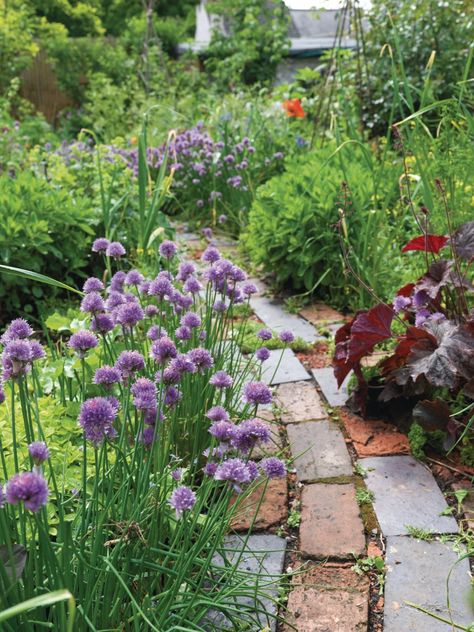 Alys Fowler Garden, Garden Bricks, Designing A Garden, Garden Path Ideas, Low Maintenance Garden Design, Allotment Ideas, Edible Gardening, Path Ideas, Cottage Garden Design