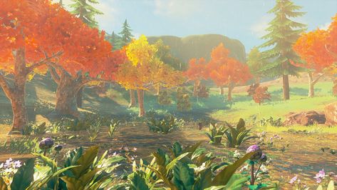 https://youtu.be/Whr3pYWuX4g Hyrule Aesthetic, Zelda Landscape, Totk Landscapes, Hidden Places, Zelda Art, Forest Fairy, Breath Of The Wild, Nature Aesthetic, Legend Of Zelda