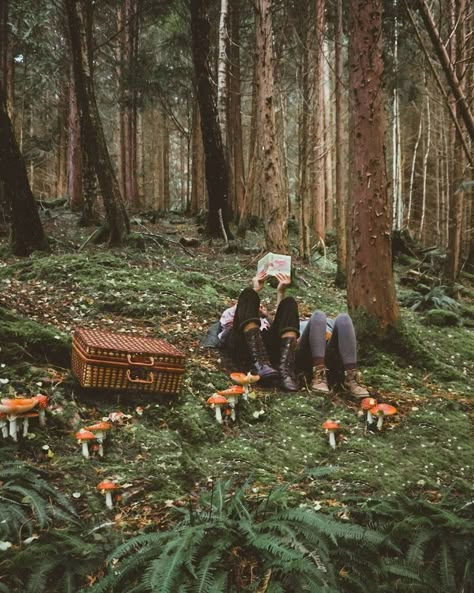 Earthy Mushroom Aesthetic, Mushroom Aestethic, Mushroom Hunting Aesthetic, Mushroom Foraging Aesthetic, Mushroom Forest Aesthetic, Mushroom Core Aesthetic, Cottagecore Mushroom Aesthetic, Forest With Mushrooms, Forest Explorer