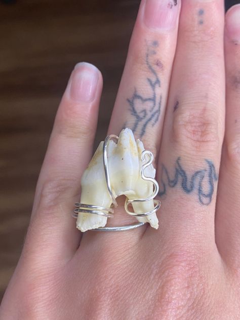 wire wrapped deer tooth diy bone jewelry rings Wire Wrapped Bones, Tooth Ring, Diy Teething, Animal Teeth, Craft Things, Bone Crafts, Vulture Culture, Tooth Necklace, Bone Jewelry