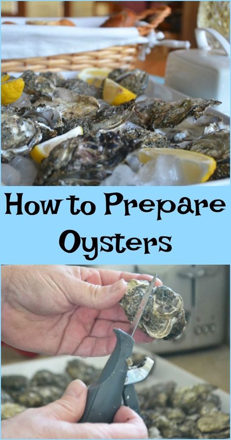 How To Make Oysters, Oyster Night, Steamed Oysters, Oyster Shucking, Cooked Oysters, Grilled Oysters, Oyster Roast, Shucking Oysters, Raw Oysters