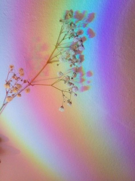 Grunge Flowers, Rainbow Meme, Rainbow Bouquet, Good Day Sunshine, Fairy Artwork, Aesthetic Flowers, Rainbow Aesthetic, Photo Boards, Seasons Of Life