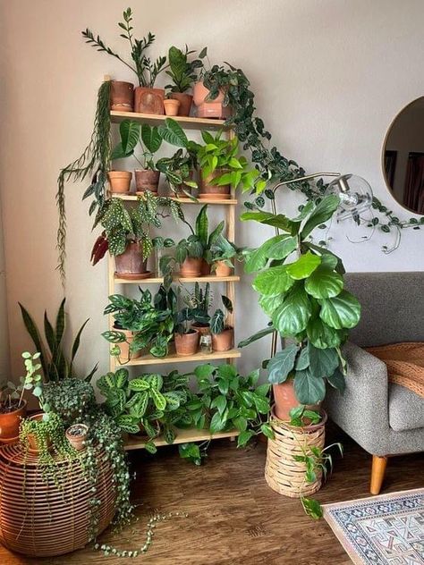 Ladder Plant Stand, Plant Ladder, Indoor Plant Display, Indoor Plant Shelves, Plant Display Ideas, Plant Styling, Corner Plant, Wooden Plant Stands, Plant Room