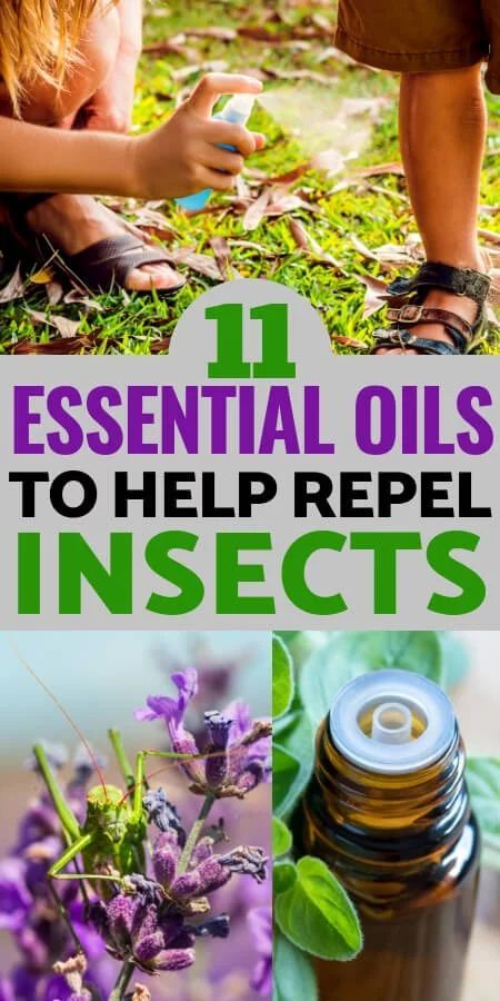 Ant Repellent Diy Indoor Essential Oil, Essential Oils For Mosquitoes, Essential Oil Bug Repellent, Mosquito Repellent Essential Oils, Insect Repellent Essential Oils, Repellent Diy, Essential Oil Bug Spray, Homemade Bug Spray, Bug Spray Recipe