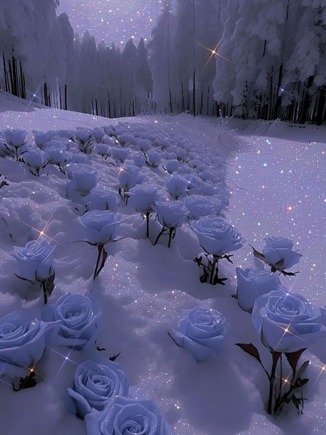 Chelsey Aesthetic, White Roses Aesthetic, Flowers In Snow, White Flowers Aesthetic, Glaucous Aesthetic, Asthetic Pics, Snow Rose, Pretty Flowers Pictures, Glittery Wallpaper