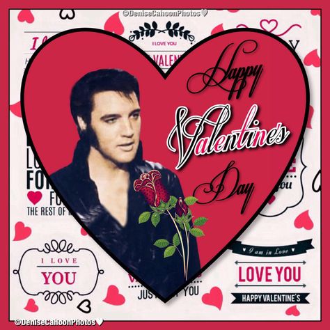 Elvis Elvis Valentines Day, Martha My Dear, Elvis Photos, Graceland, Happy Valentine's Day, Happy Valentines, Happy Valentine's, Elvis Presley, Happy Valentines Day