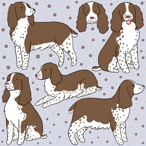 Brown English springer spaniel dog illustration pattern Cartoon Springer Spaniel, Springer Spaniel Illustration, Spaniel Illustration, Springer Spaniel Drawing, English Spaniel, Spaniel Art, Dog Cookies, English Springer, Different Dogs